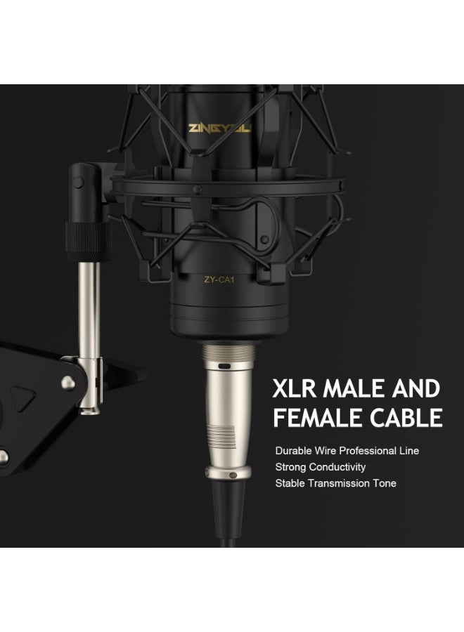ZINGYOU ميكروفون ZY-CA1 XLR مكثف قلبي الشكل - Image 5